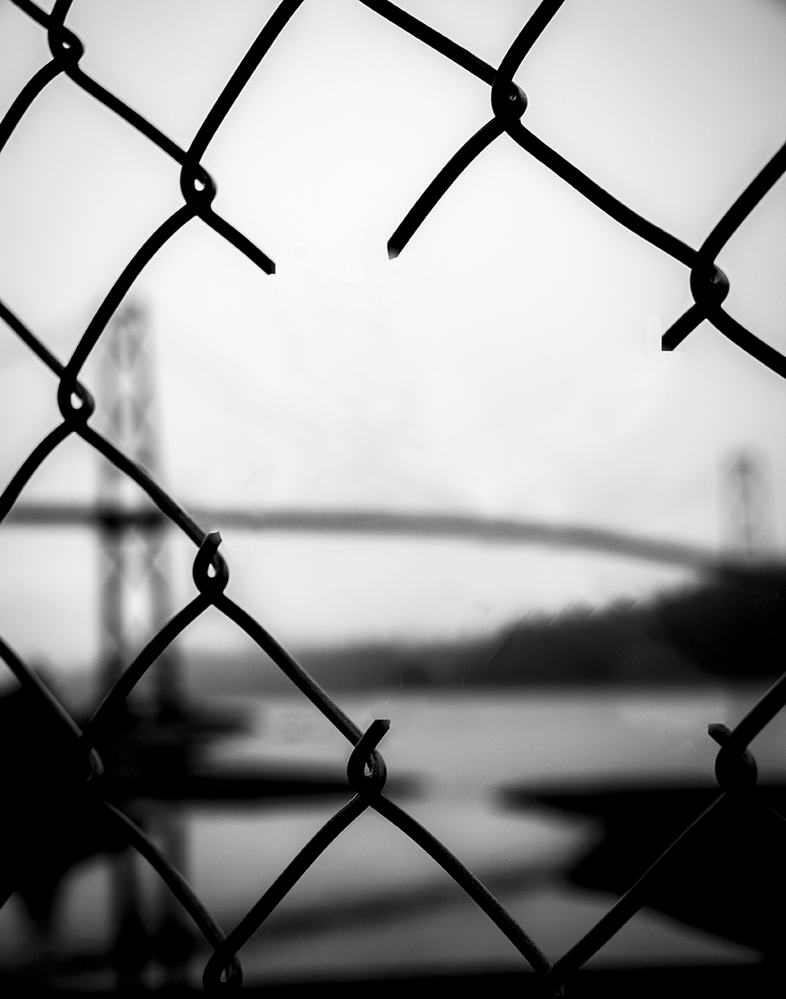 Fence and Bridge